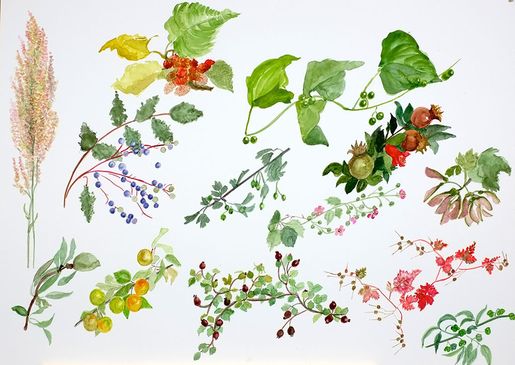 Acuarela ilustración septiembre