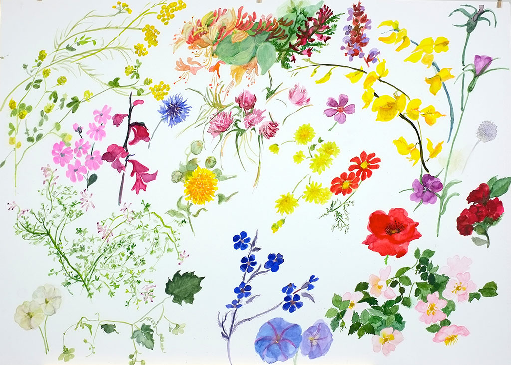 Watercolour Botanica primavera mayo - Botánica de primavera mes de mayo