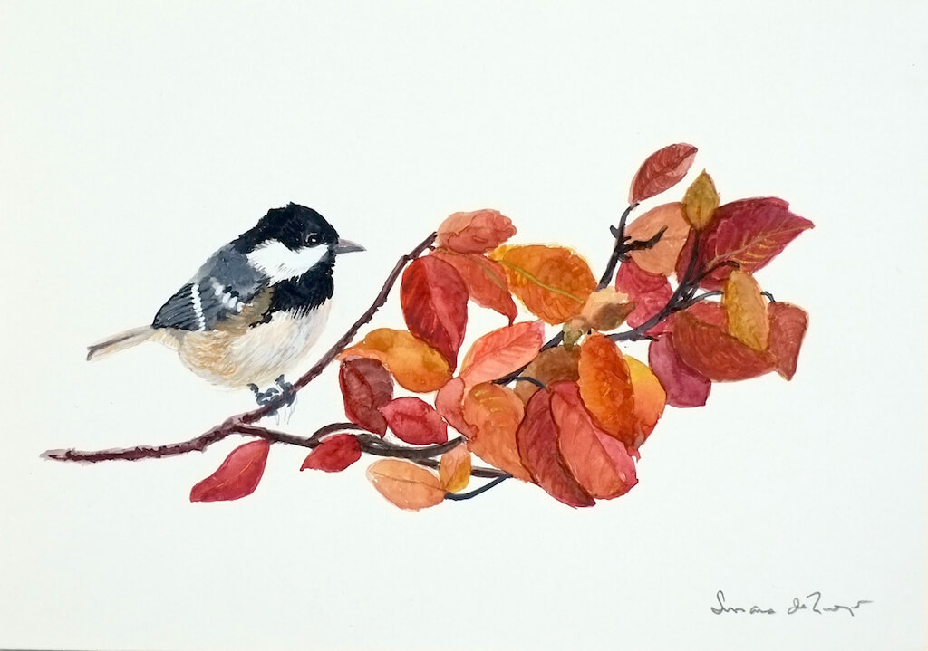 carbonero garrapinos71 - Carbonero garrapinos. 29,50x21cm.