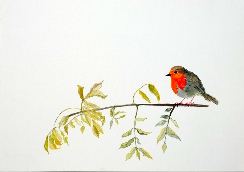 petirrojo - Petirrojo. 29,50x21cm.