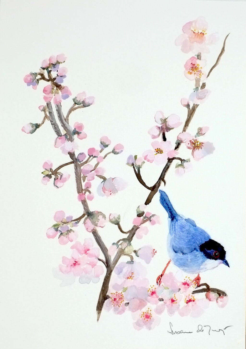 rabilargo - Rabilargo. 21x29,50cm.